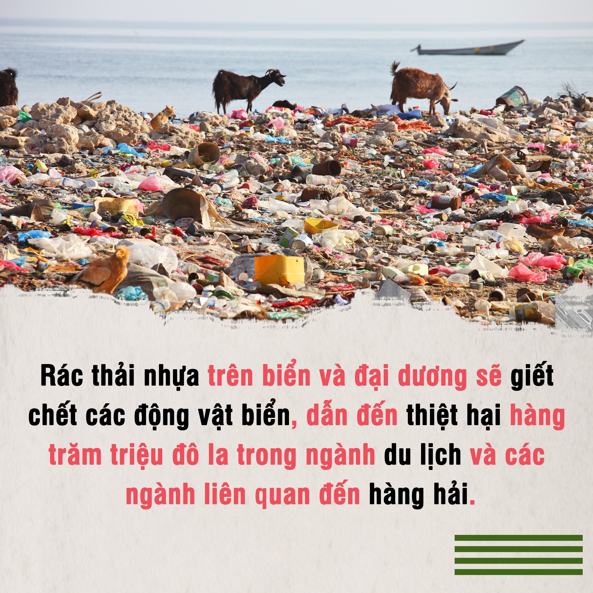 Cả thế giới chống lại rác thải nhựa ảnh 6