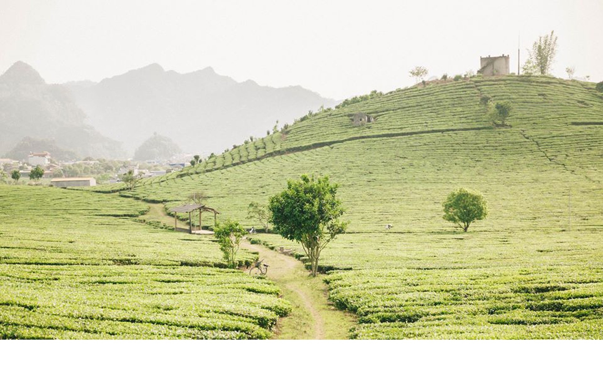 Đừng chỉ ăn Tết, hãy trải nghiệm Tết ảnh 2