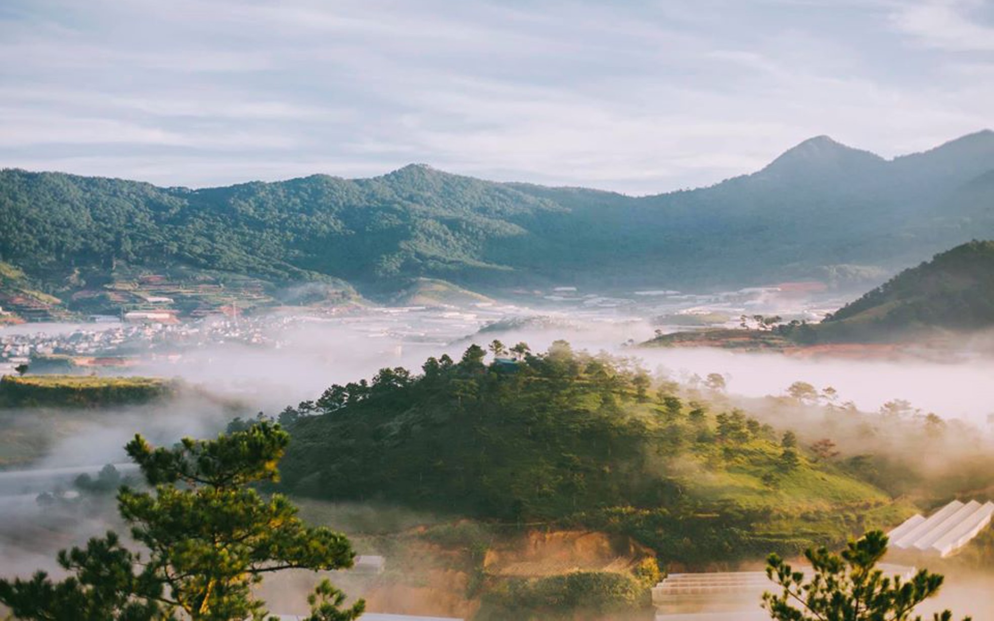Đừng chỉ ăn Tết, hãy trải nghiệm Tết ảnh 5