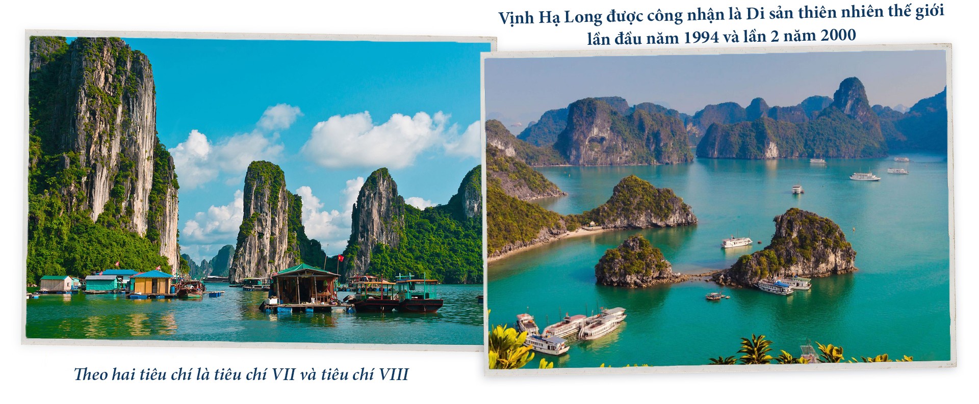 Các di sản thế giới tại Việt Nam được công nhận vì tiêu chí nào? ảnh 2