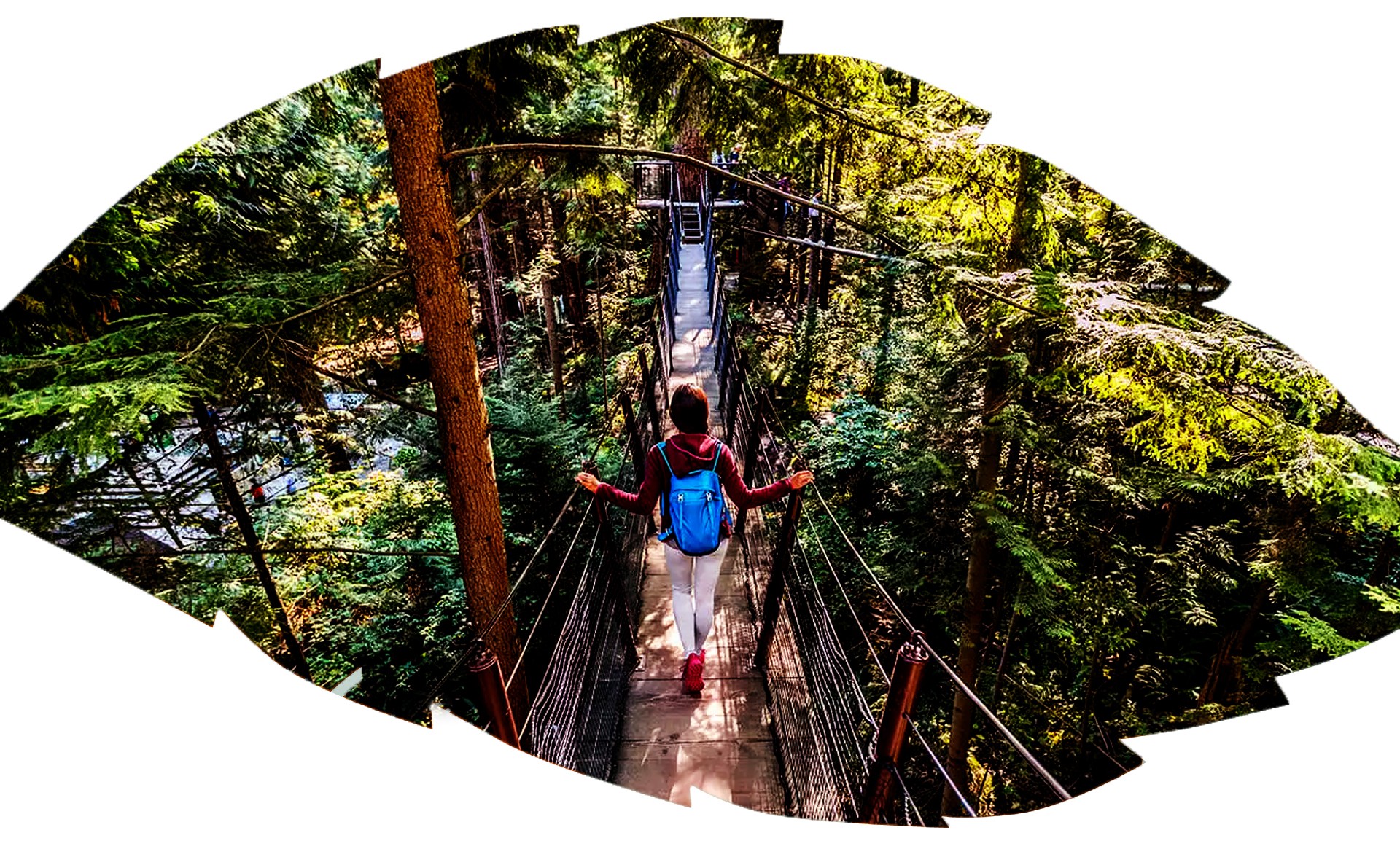 Xê dịch theo 'trend' nào cho chuẩn? ảnh 1