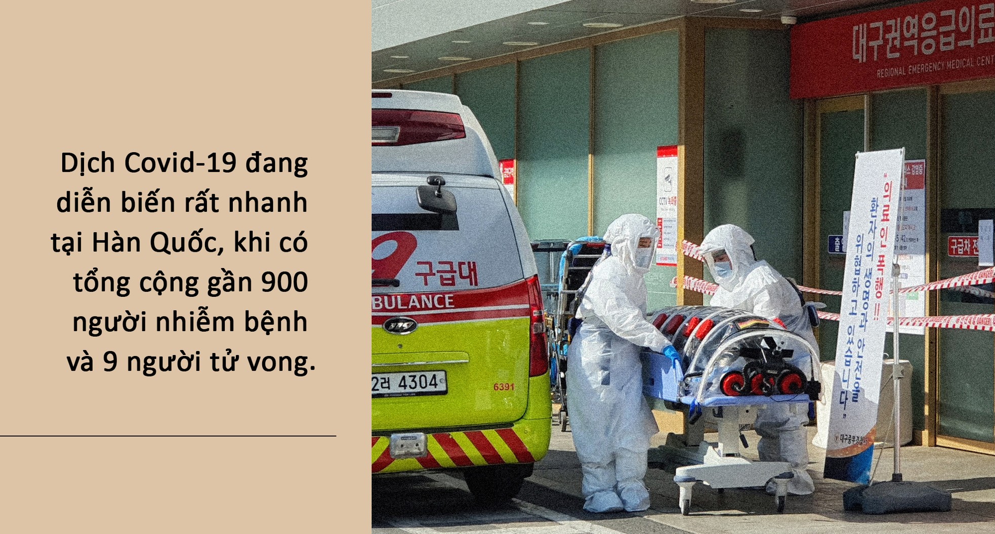 Du học sinh Việt chống chọi với ‘cơn bão’ Covid-19 đổ bộ vào Hàn Quốc ảnh 3