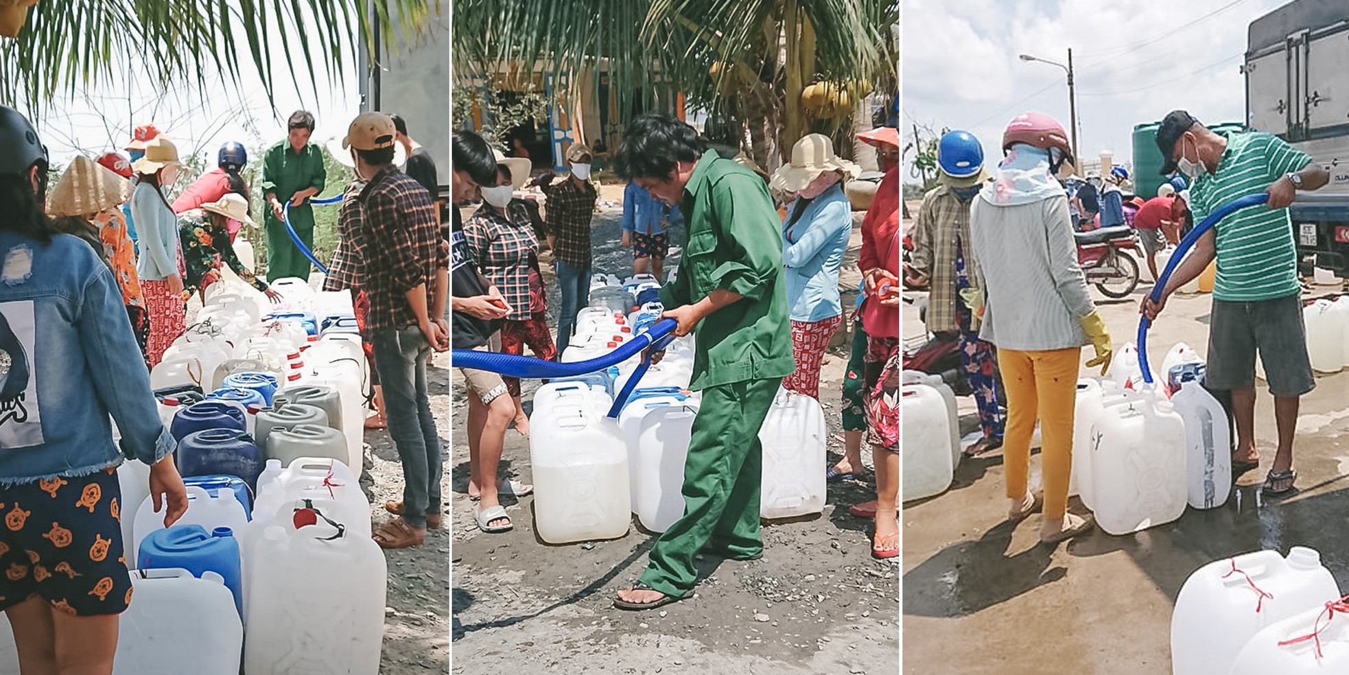 Miền Tây trồng lúa bán… rơm ảnh 7