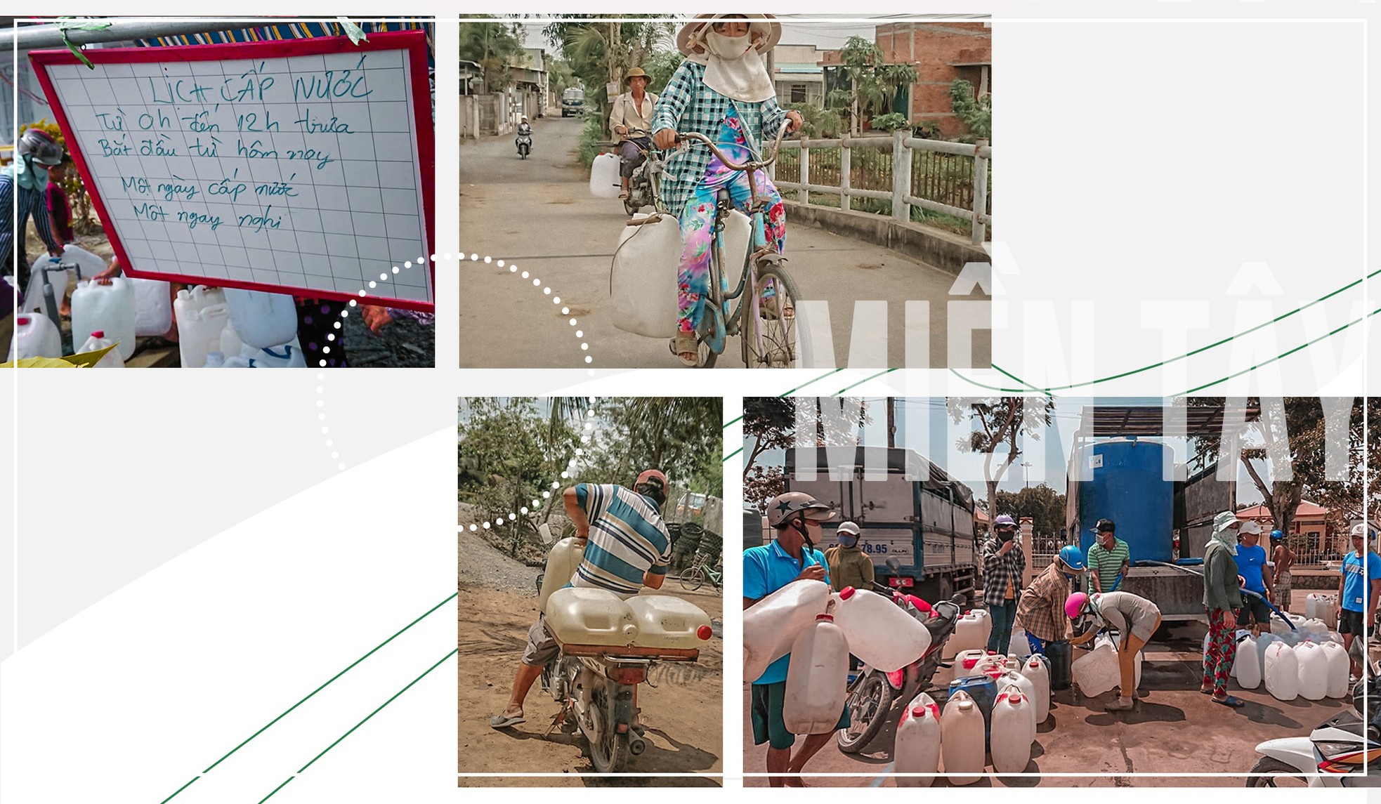 Miền Tây trồng lúa bán… rơm ảnh 8