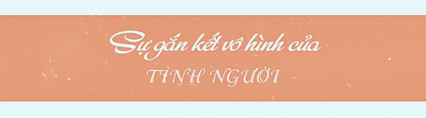 Đón người Việt từ vùng dịch: 'Mình không làm thì ai làm?' ảnh 1