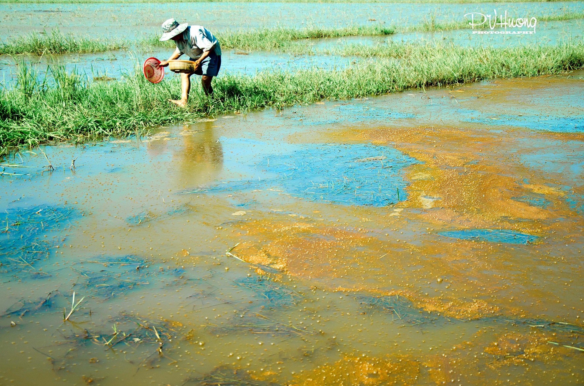 Có một Sài Gòn… rất khác ảnh 5