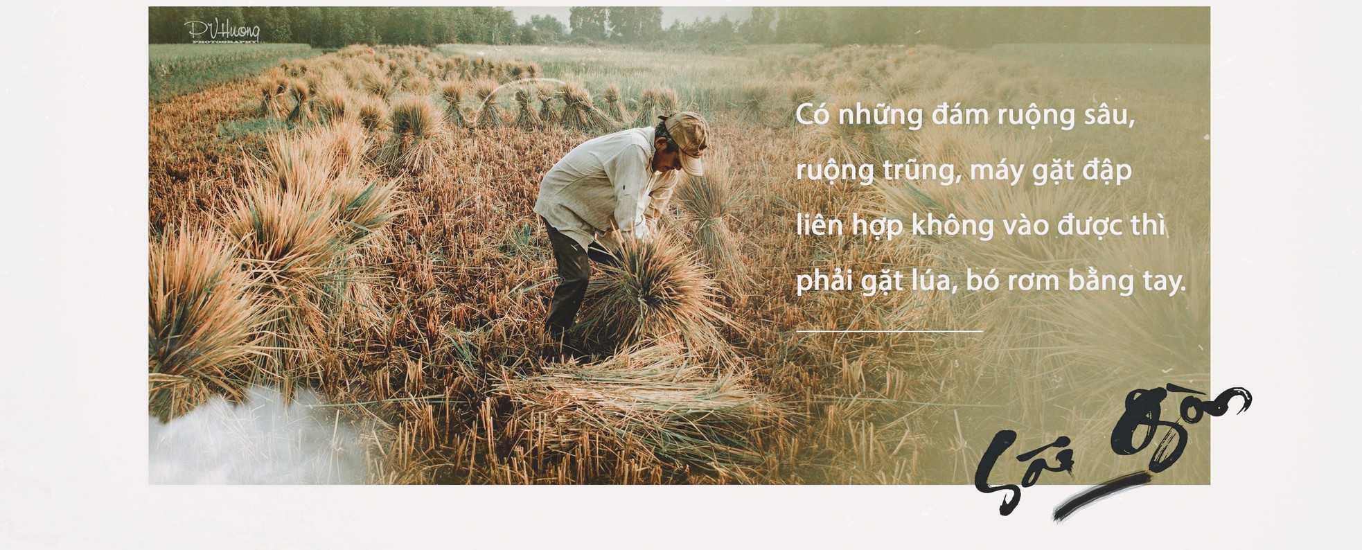 Có một Sài Gòn… rất khác ảnh 7