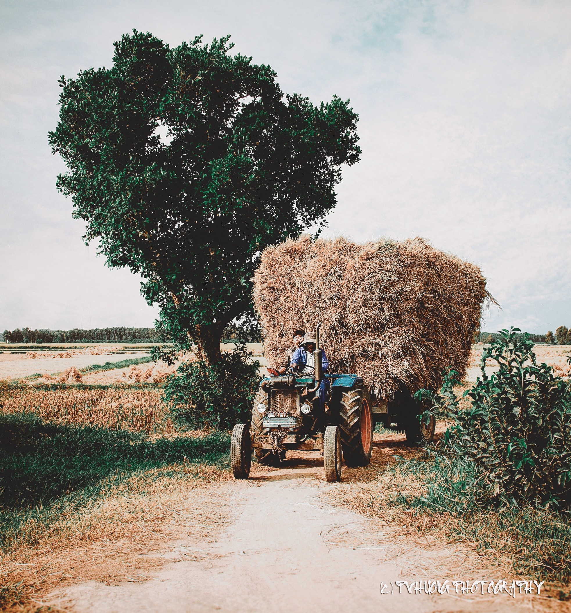 Có một Sài Gòn… rất khác ảnh 6