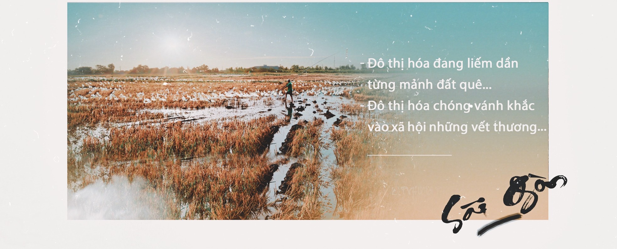 Có một Sài Gòn… rất khác ảnh 10