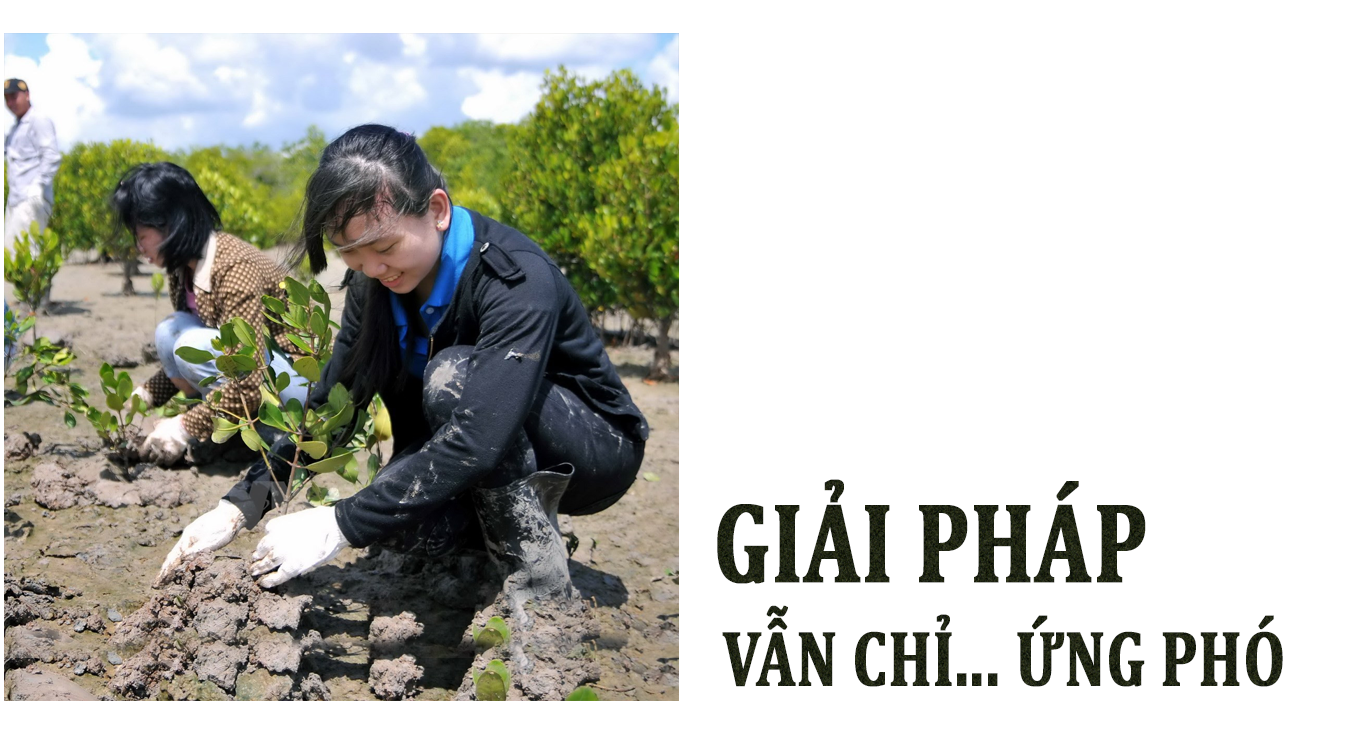 Cần một cuộc 'cách mạng' để đương đầu với biến đổi khí hậu ảnh 7