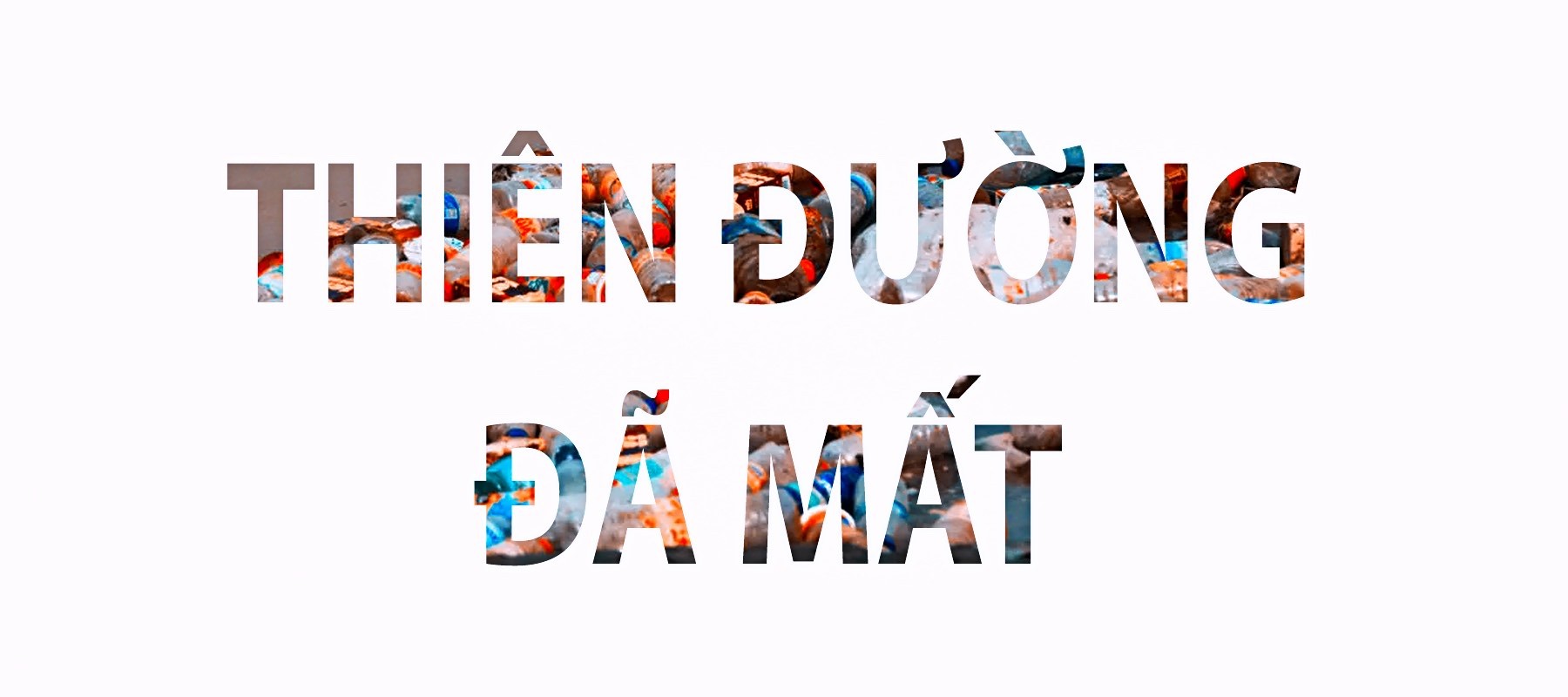 Trở thành người hùng đảo Bali nhờ… dọn rác ảnh 8