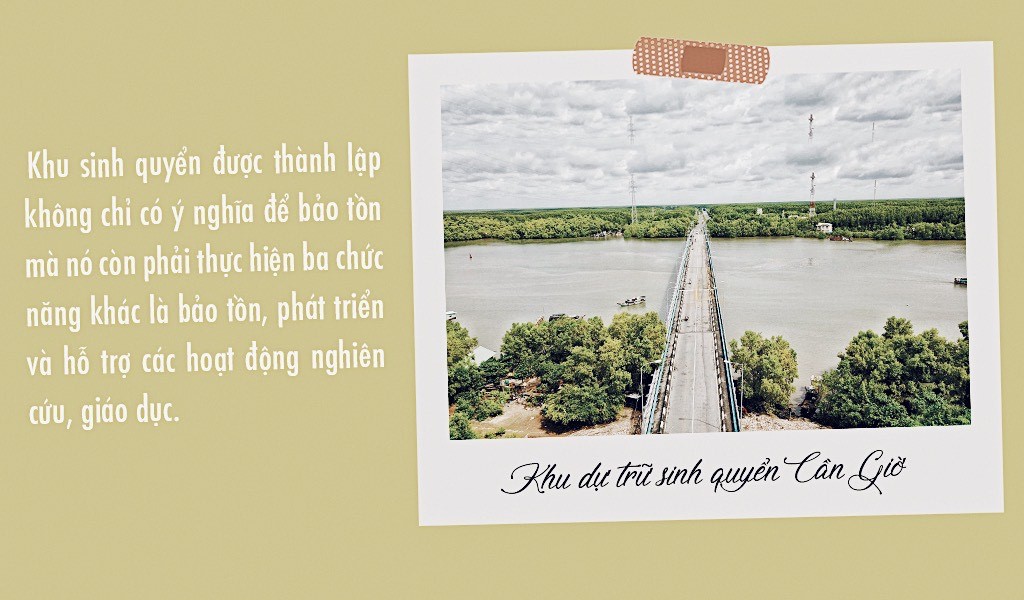 Giáo sư Nguyễn Hoàng Trí: Phát triển cho bảo tồn là mục tiêu của các khu dự trữ sinh quyển ảnh 2