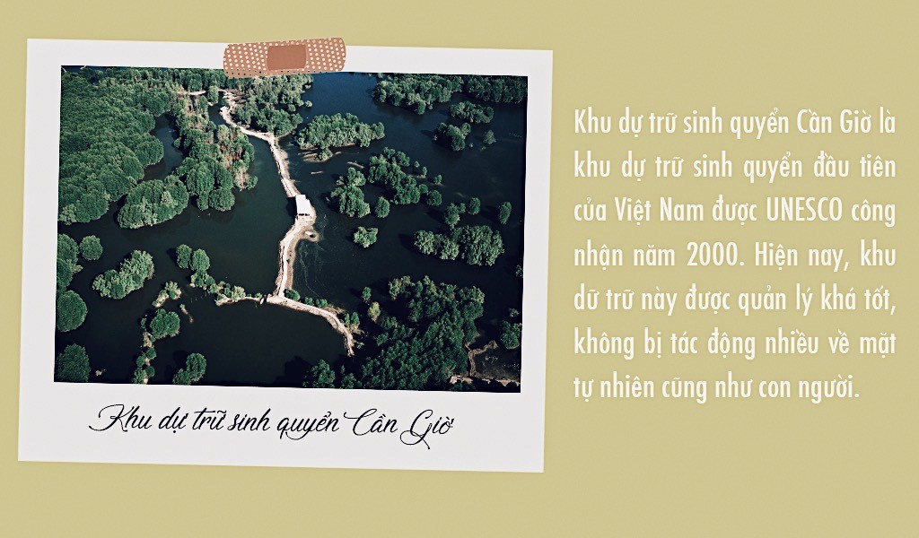 Giáo sư Nguyễn Hoàng Trí: Phát triển cho bảo tồn là mục tiêu của các khu dự trữ sinh quyển ảnh 1