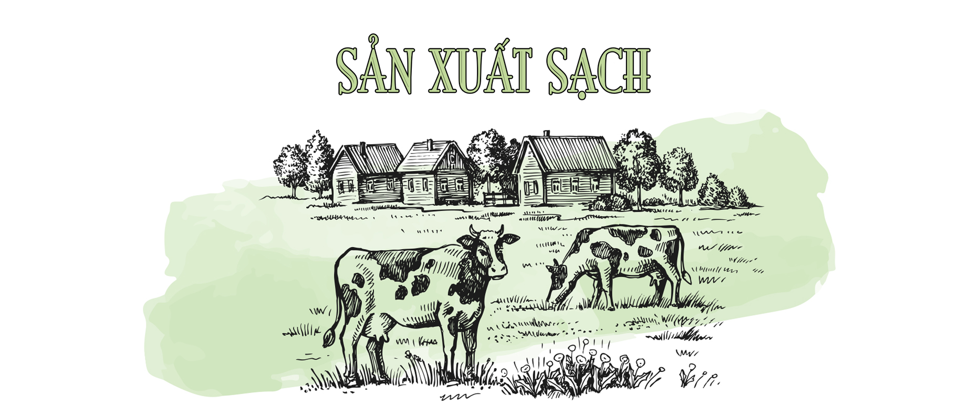 ‘Kinh tế tuần hoàn’ tạo giá trị bền vững cho doanh nghiệp ngành sữa ảnh 10