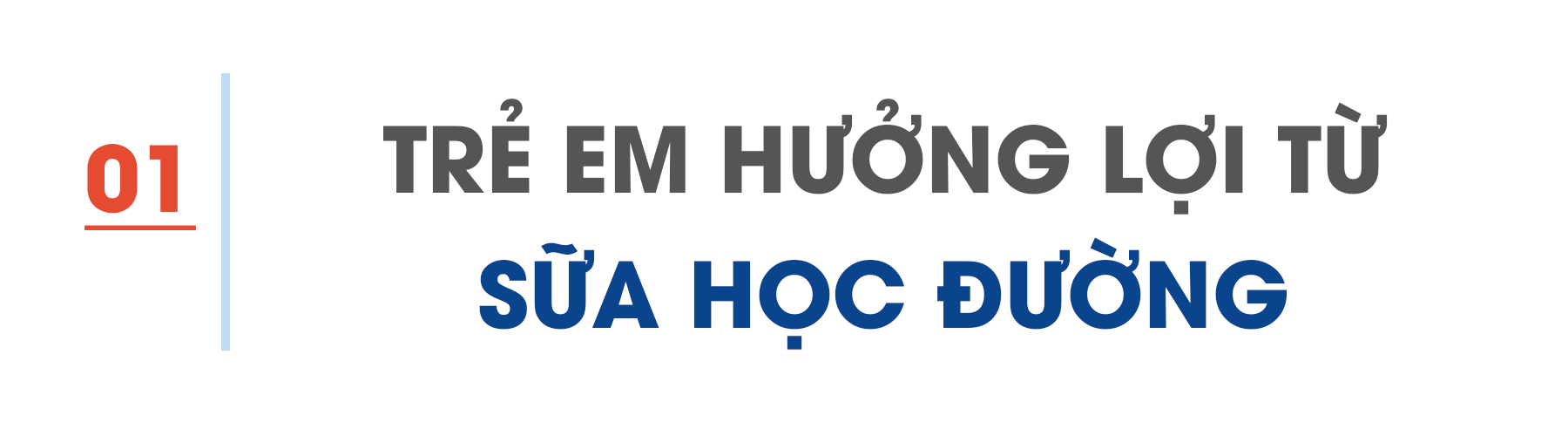 Sữa học đường - Những nỗ lực toàn cầu vì trẻ em ảnh 1