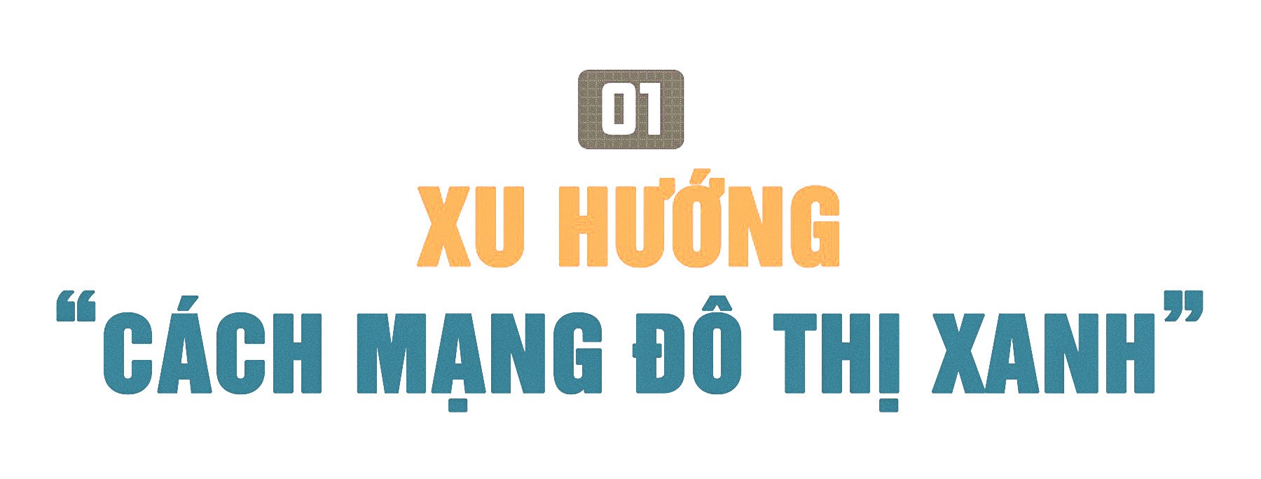 Rừng trong phố ảnh 1