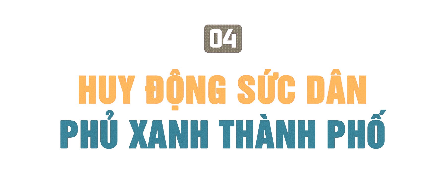 Rừng trong phố ảnh 7