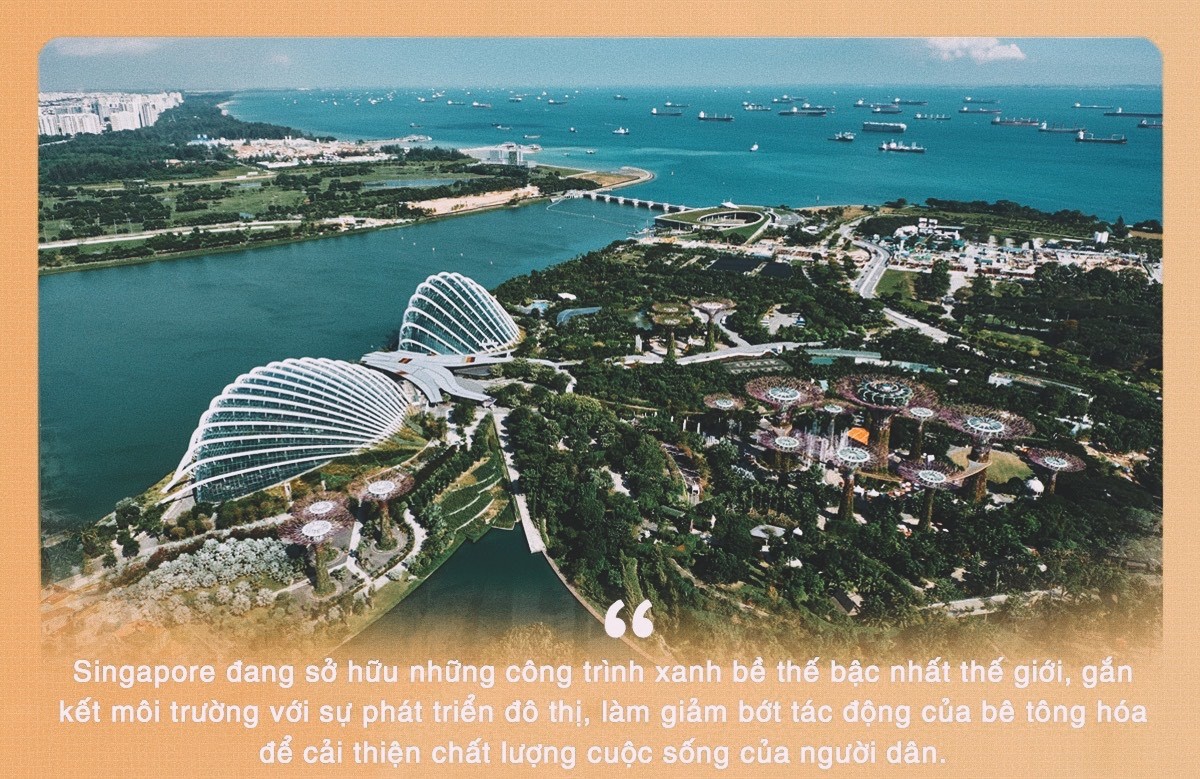 Rừng trong phố ảnh 6