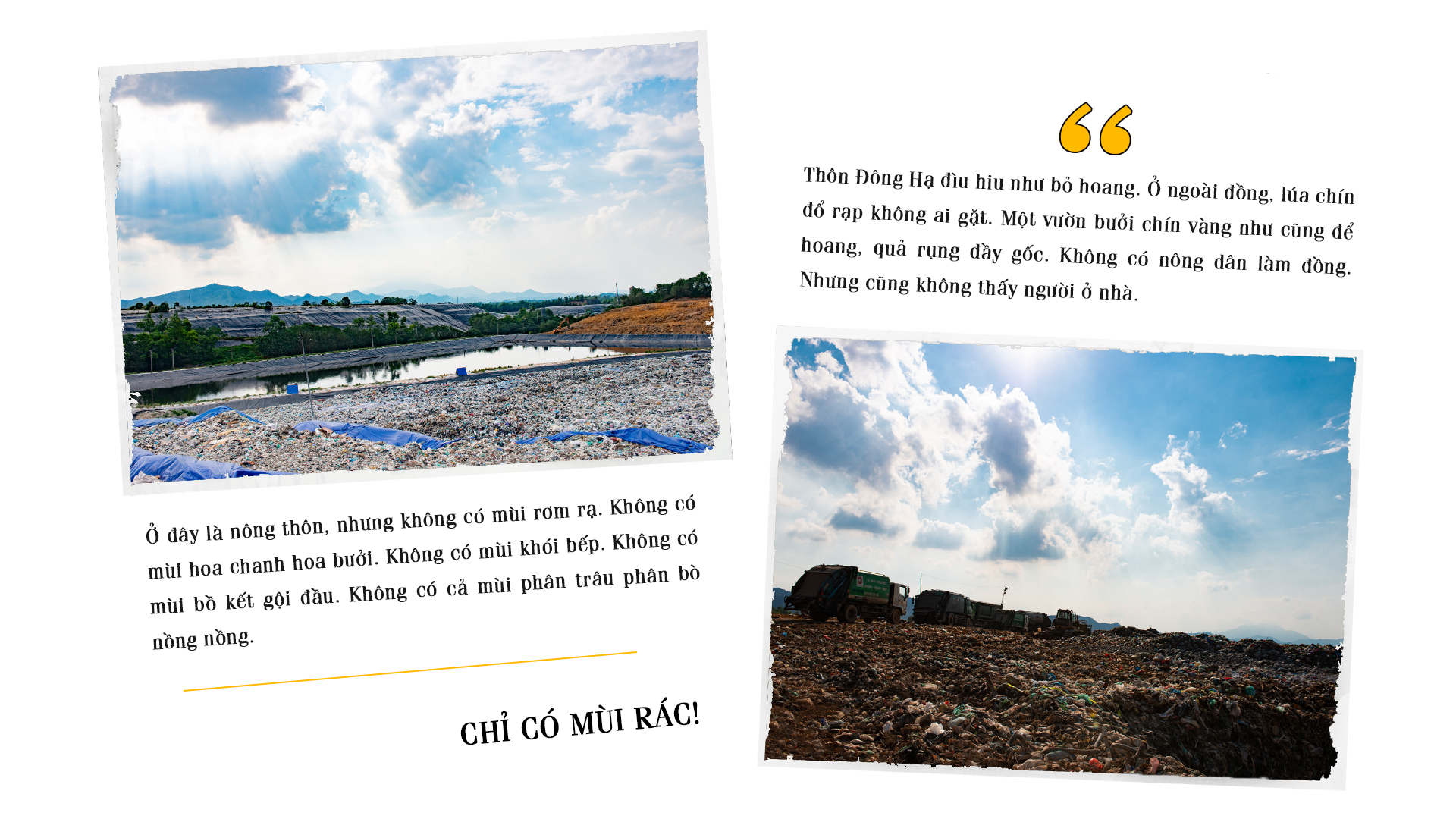 Những mảng tối dưới chân núi rác ảnh 3