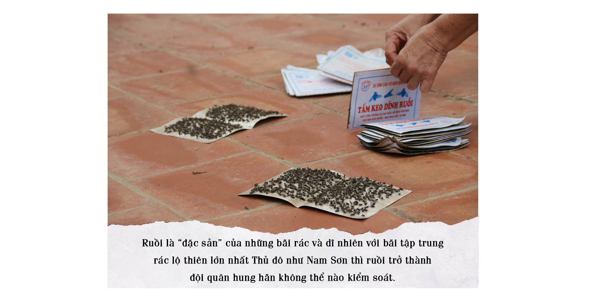 Những mảng tối dưới chân núi rác ảnh 5