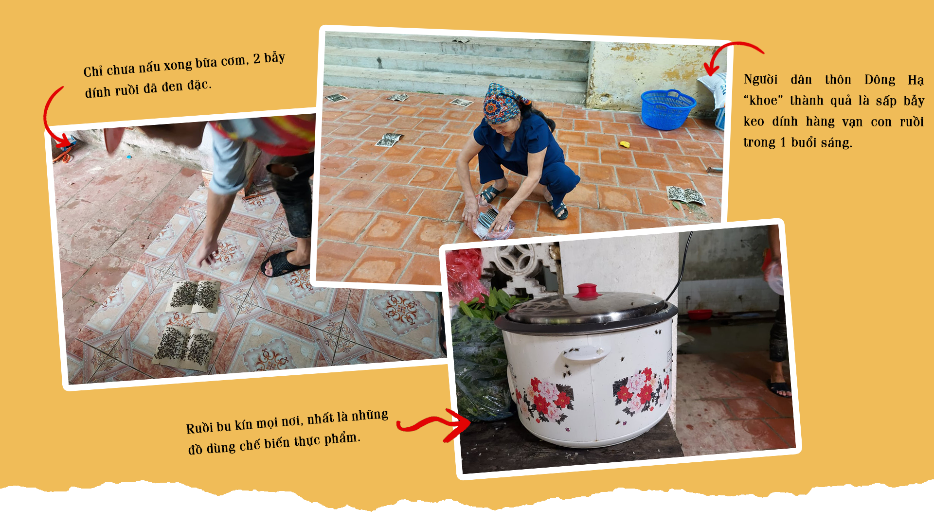 Những mảng tối dưới chân núi rác ảnh 6