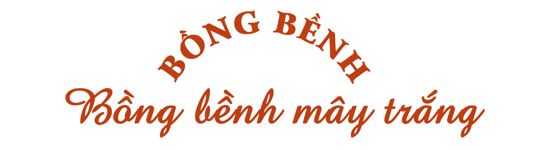 Sa Pa - Mê hoặc từng phút giây ảnh 2