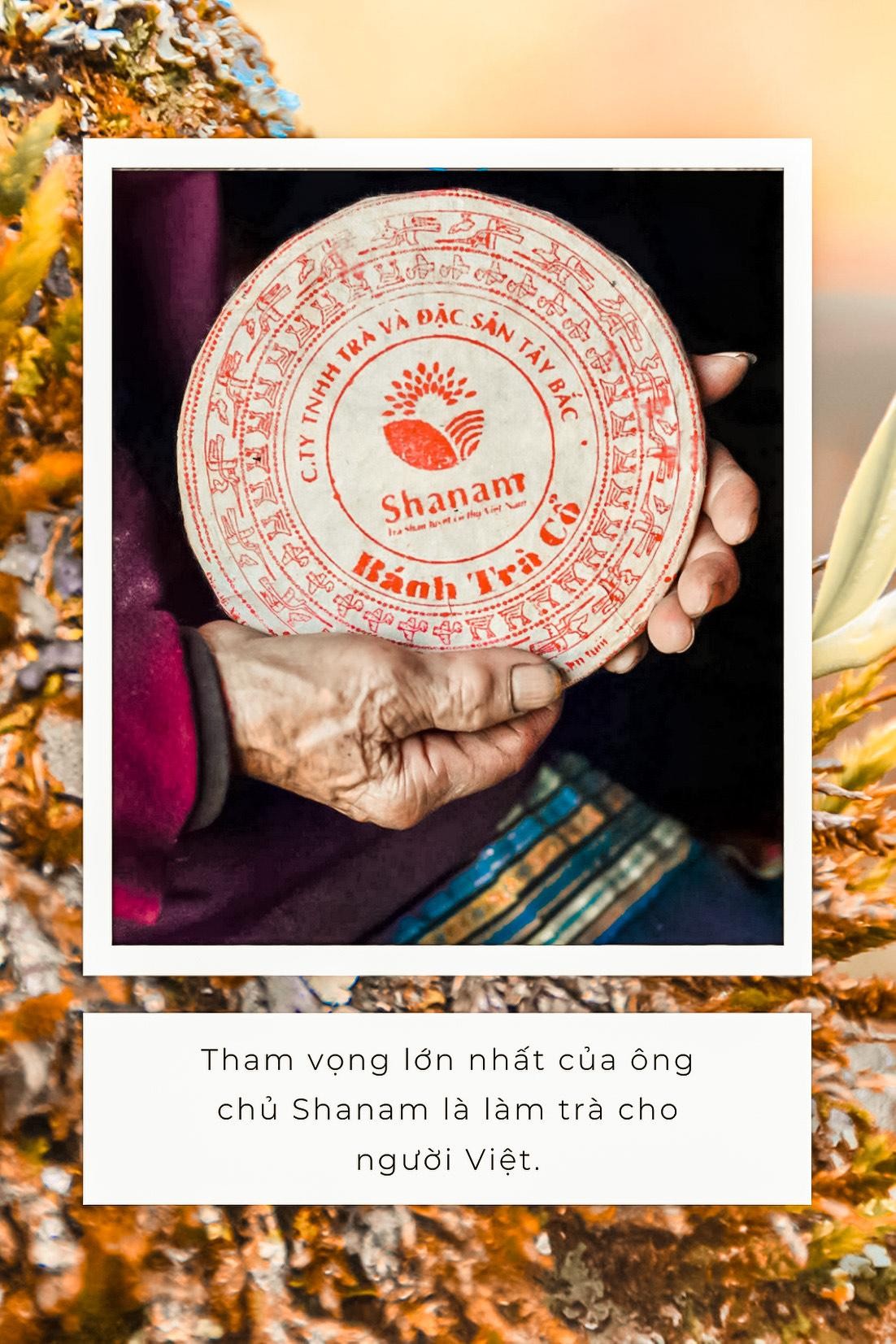 Cốt cách trà ảnh 7