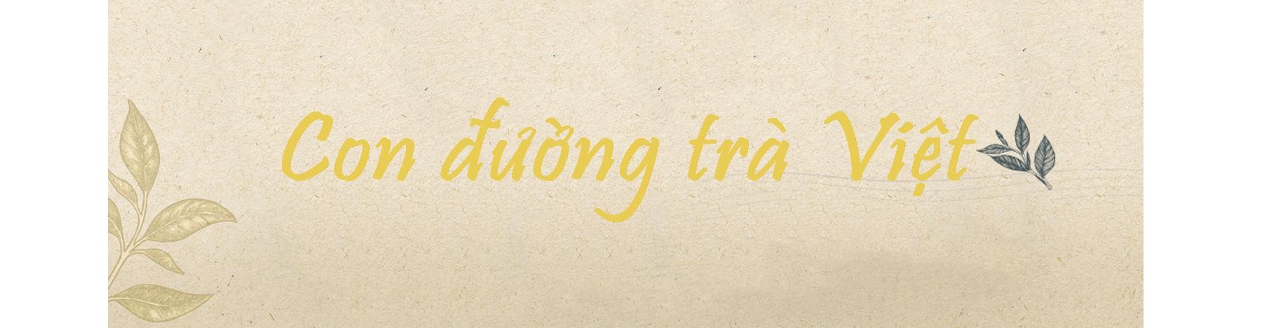 Cốt cách trà ảnh 6