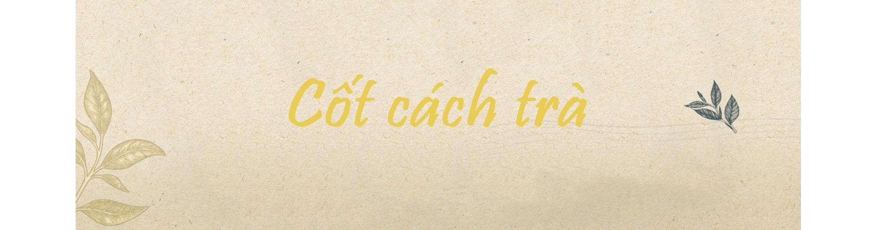 Cốt cách trà ảnh 9