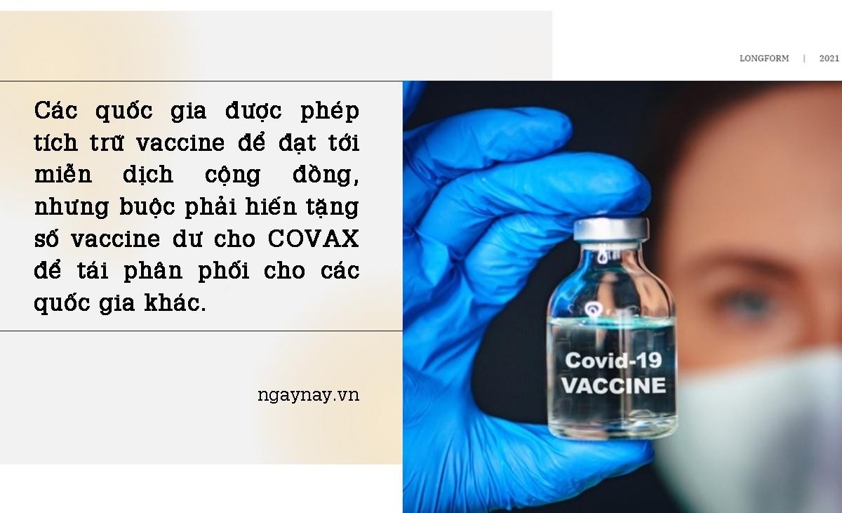 Vaccine COVID-19: Chia sẻ hay tích trữ? ảnh 4