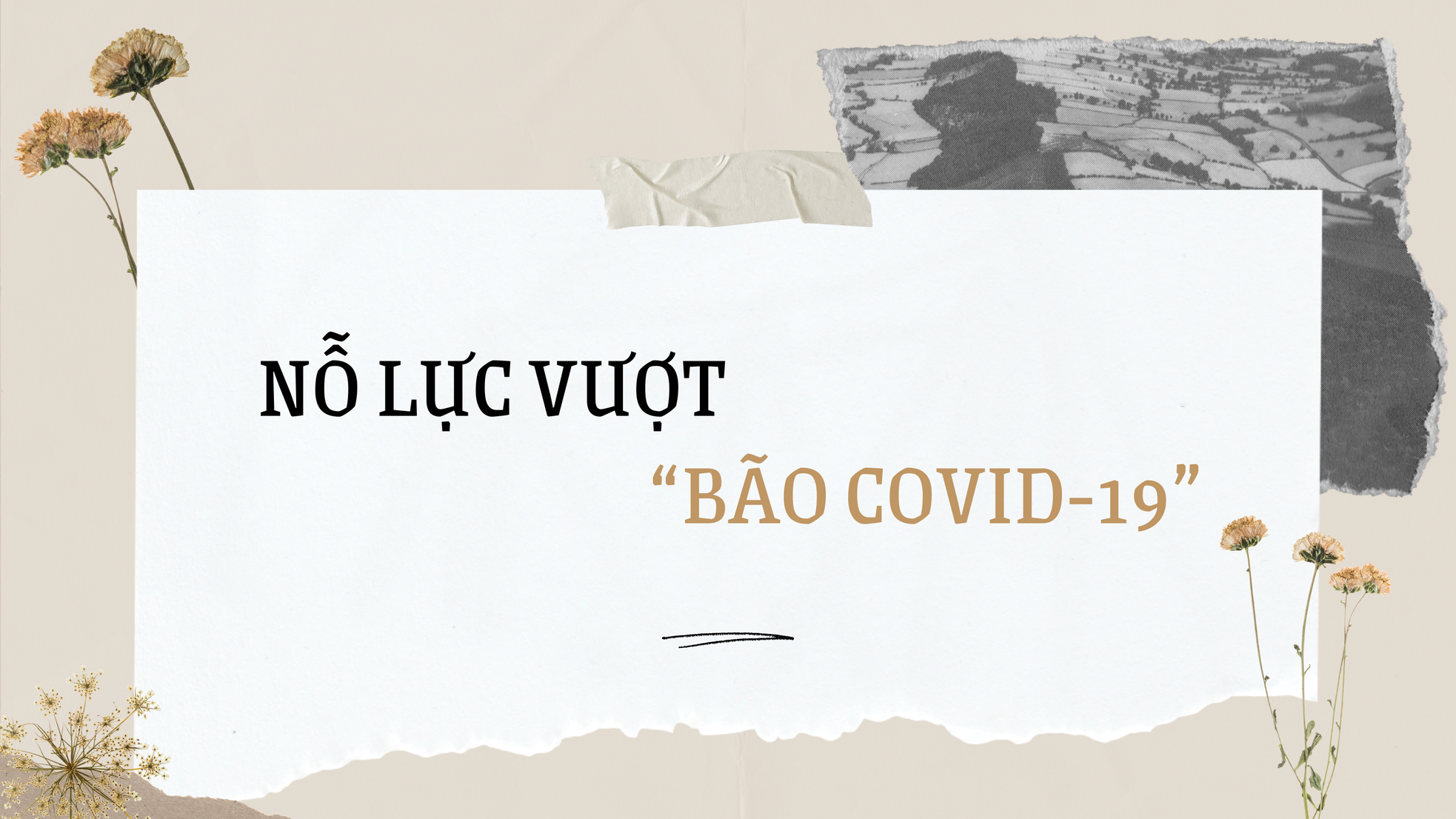 Liên hiệp các Hội UNESCO Việt Nam: Chủ động thích ứng, hoạt động ổn định trong tình hình mới ảnh 1
