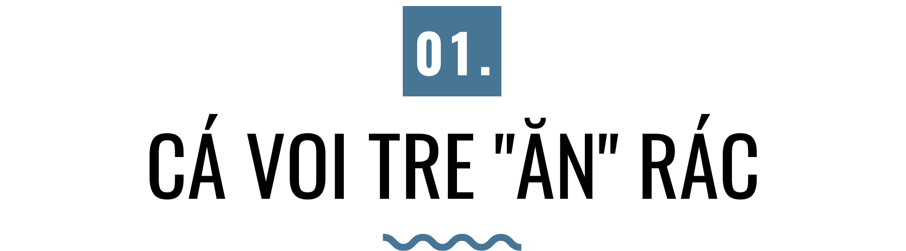 Môi trường xanh 'hồi sinh' dưới bàn tay người trẻ ảnh 1