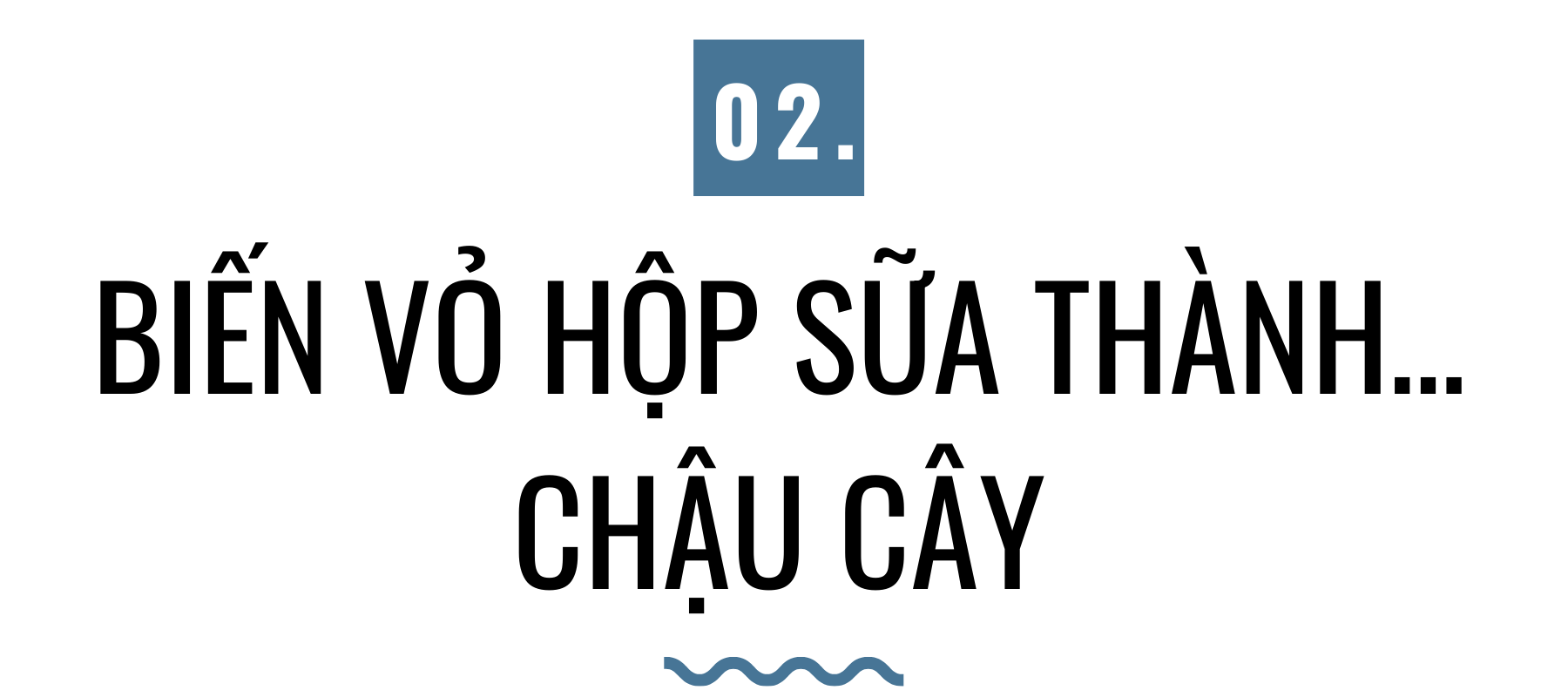 Môi trường xanh 'hồi sinh' dưới bàn tay người trẻ ảnh 5