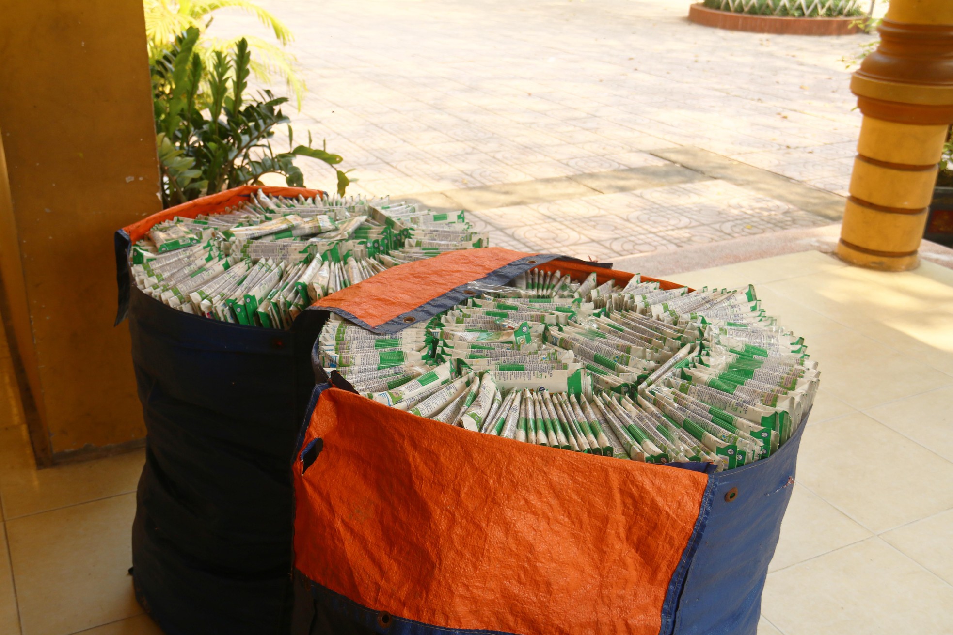 Vỏ hộp sữa và những bài học về môi trường ảnh 2