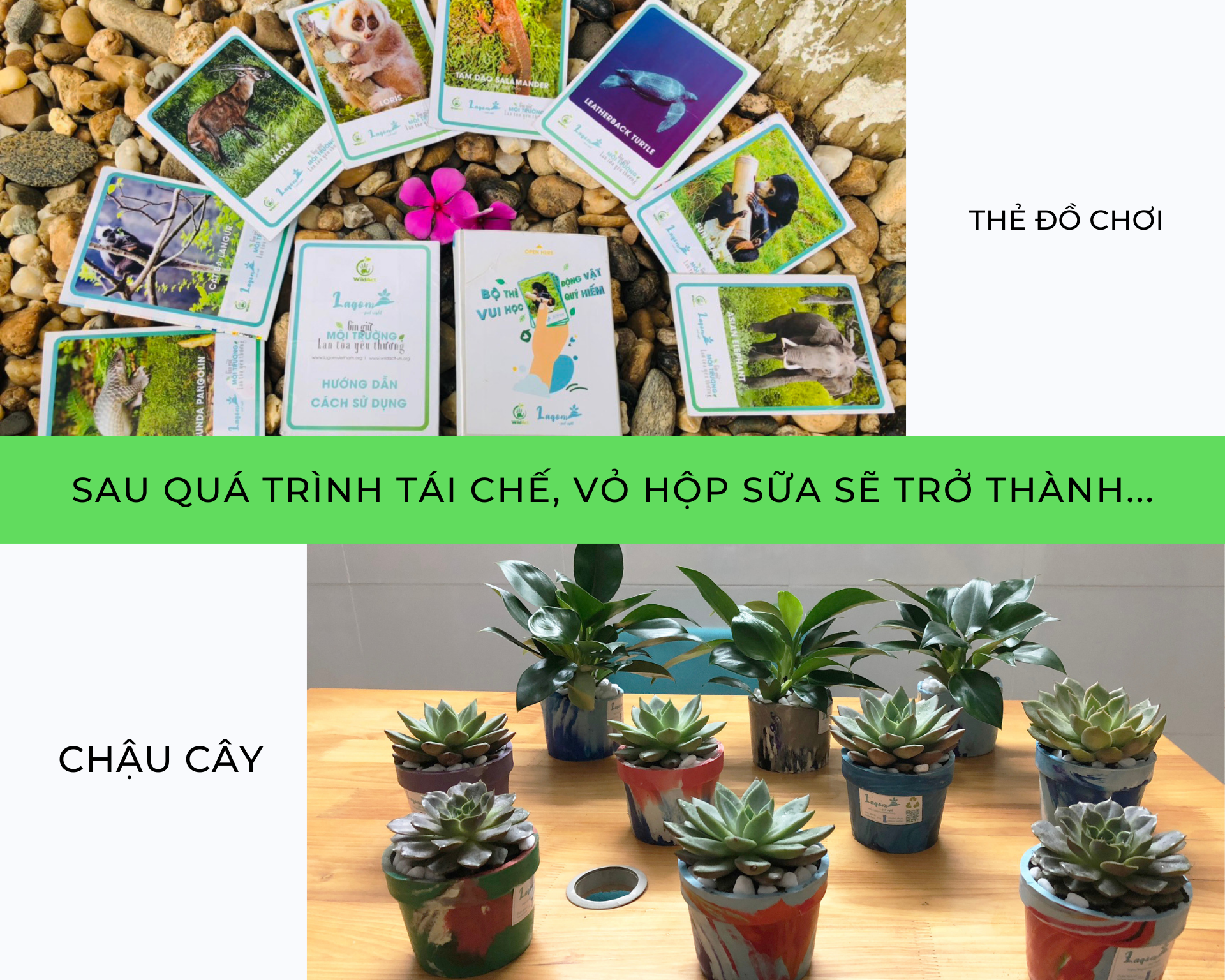 Vỏ hộp sữa và những bài học về môi trường ảnh 6