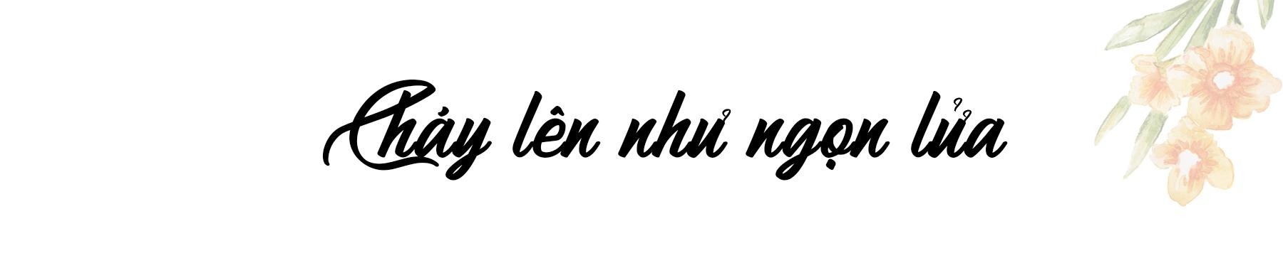 Cháy lên như ngọn lửa ảnh 6