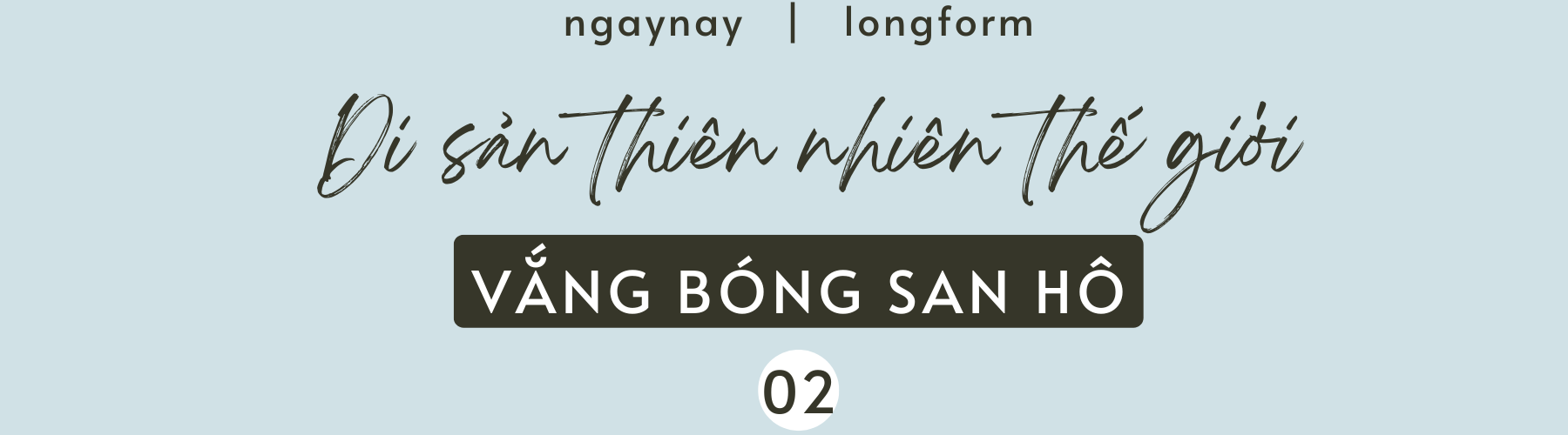 ‘Sức khỏe’ đại dương đang gặp nguy hiểm - Bài 2: Cứu đại dương bắt đầu từ những rạn san hô ảnh 5