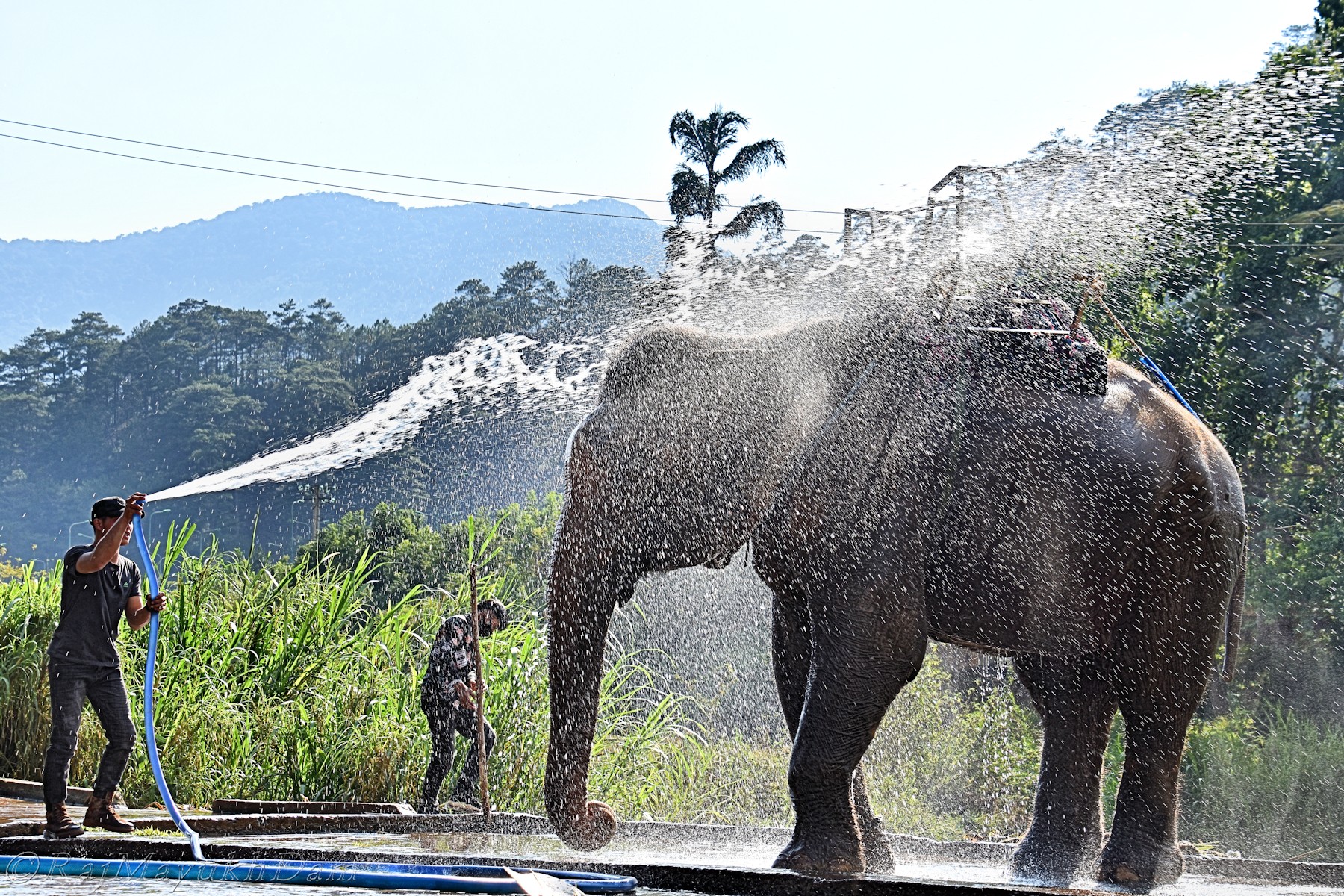Yêu thương con người mới hiểu được sự độc đáo của các nền văn hóa ảnh 2