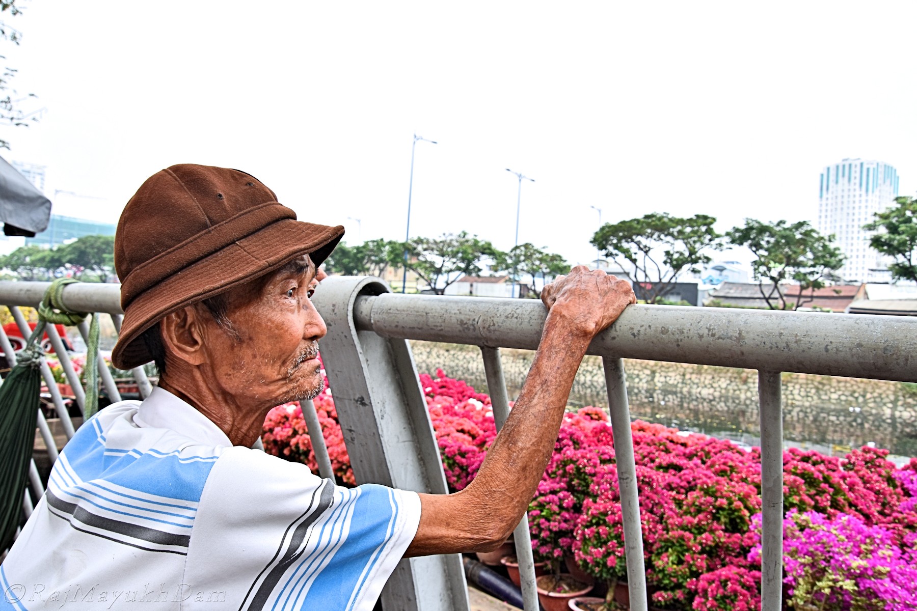 Yêu thương con người mới hiểu được sự độc đáo của các nền văn hóa ảnh 5