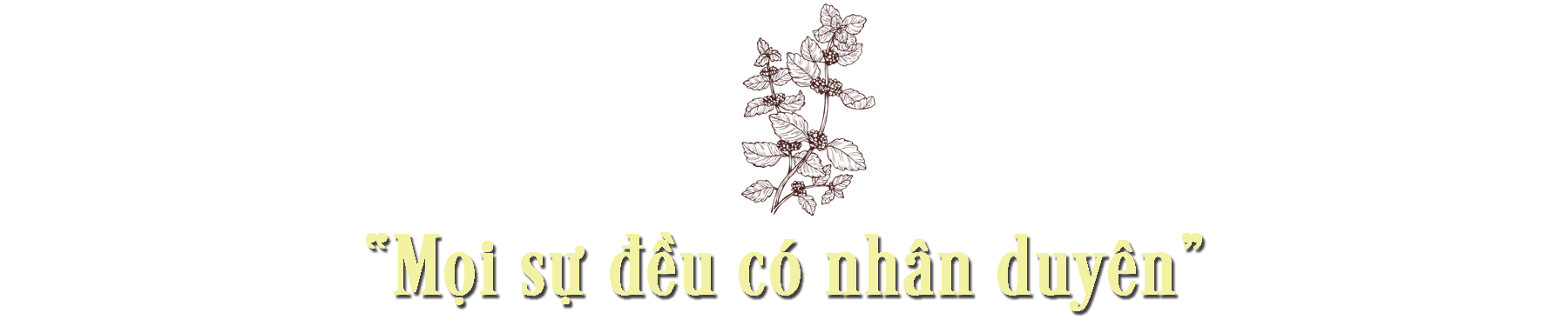 Câu chuyện về người nữ anh hùng lao động trăn trở tìm quốc kế dân sinh ảnh 3