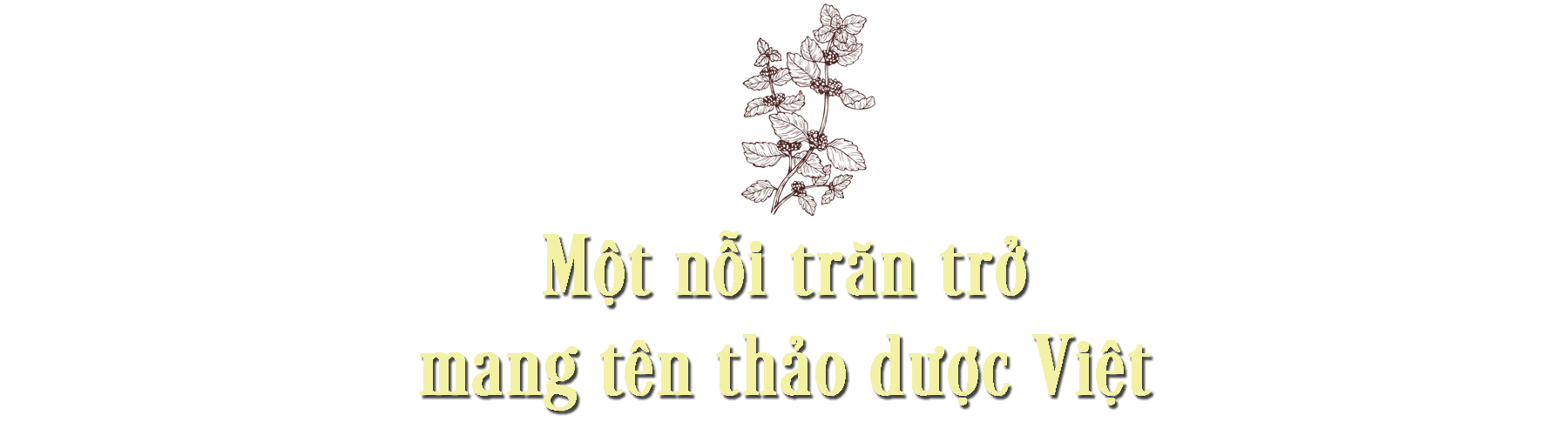 Câu chuyện về người nữ anh hùng lao động trăn trở tìm quốc kế dân sinh ảnh 5