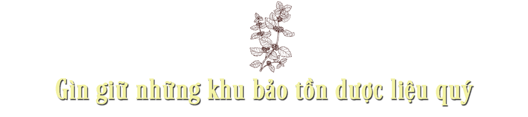 Câu chuyện về người nữ anh hùng lao động trăn trở tìm quốc kế dân sinh ảnh 7