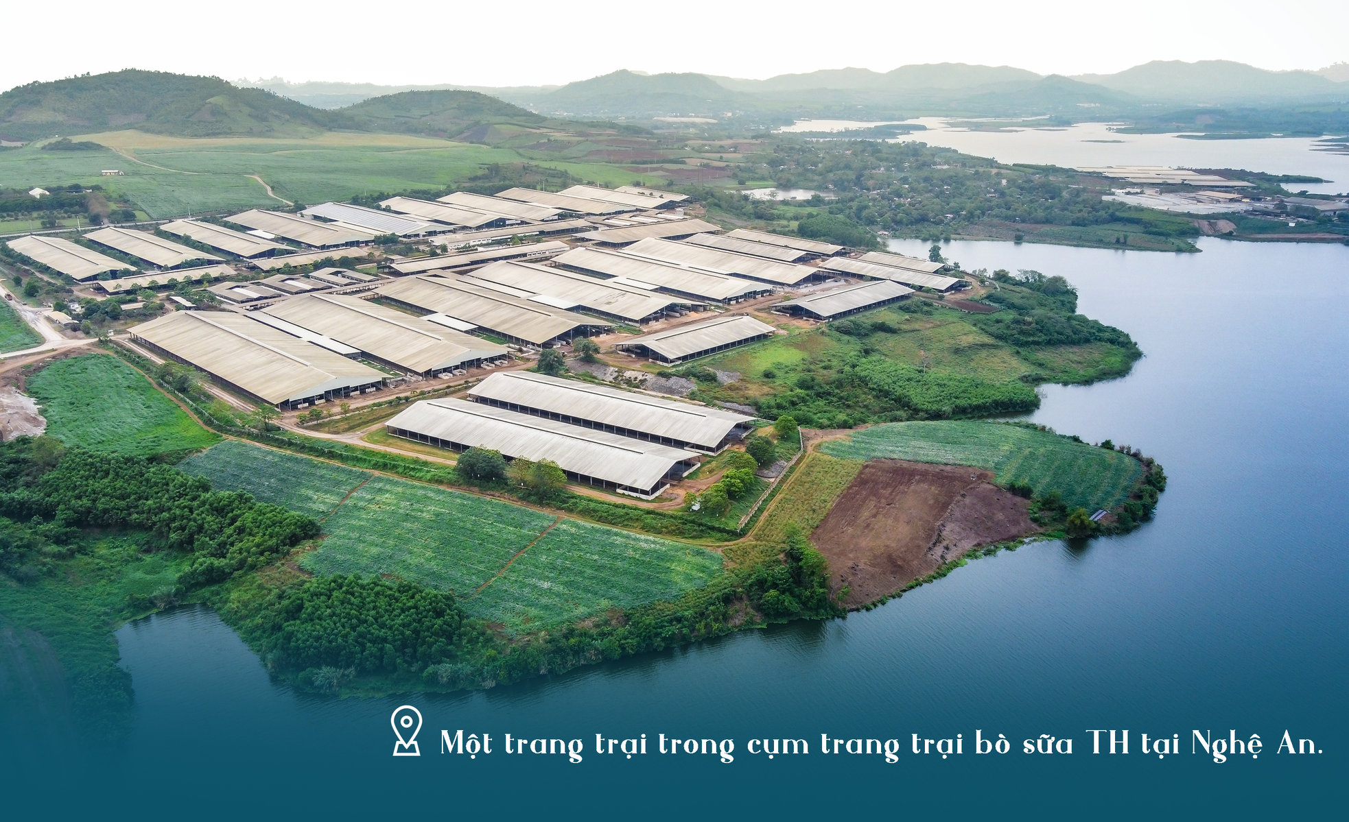 Tự hào về dự án đầu tư khổng lồ, hiện đại và đẳng cấp của người Việt - TH True Milk ảnh 5