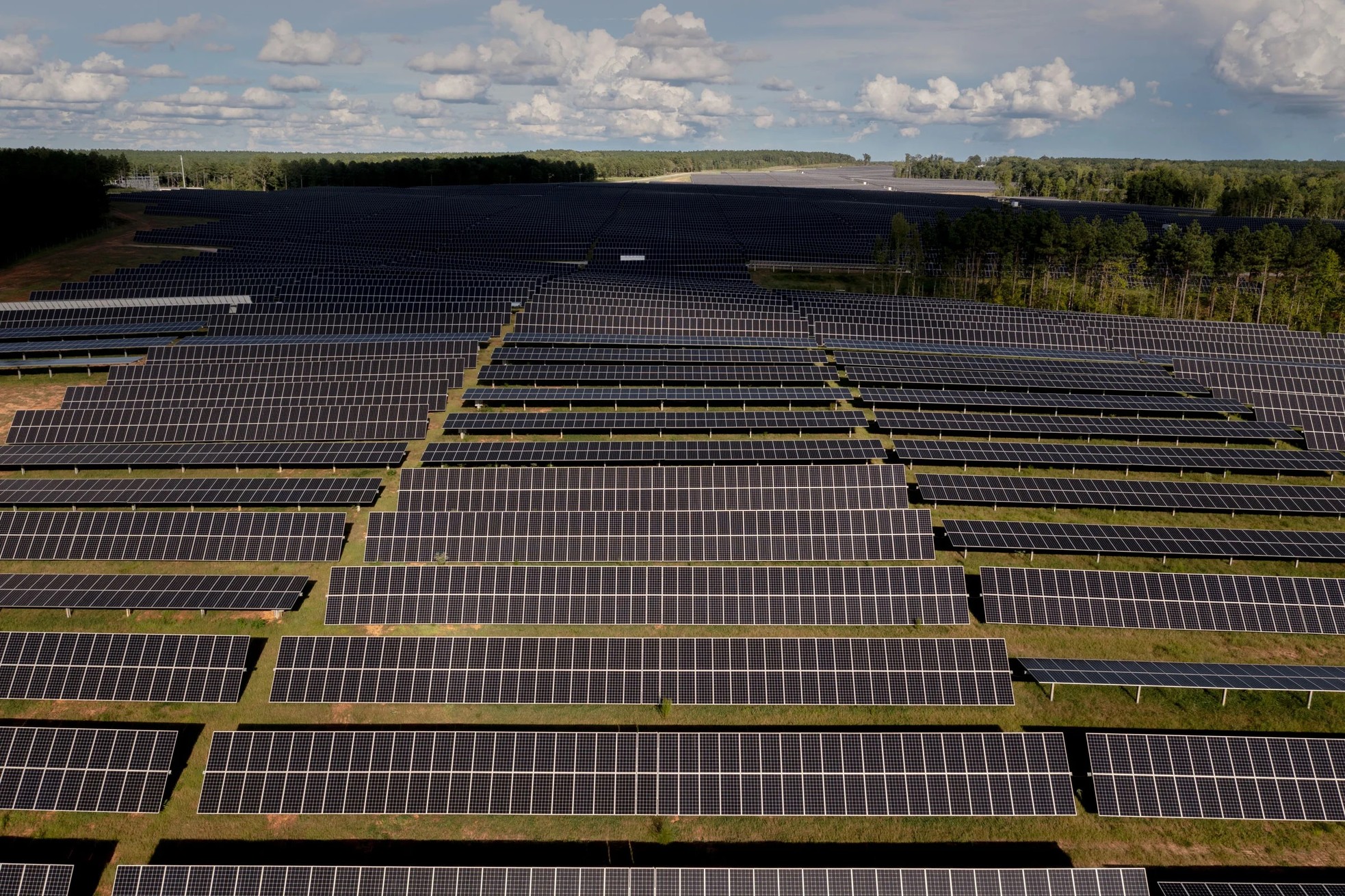 Cuộc đua thu mua điện sạch của các 'ông lớn' ảnh 2