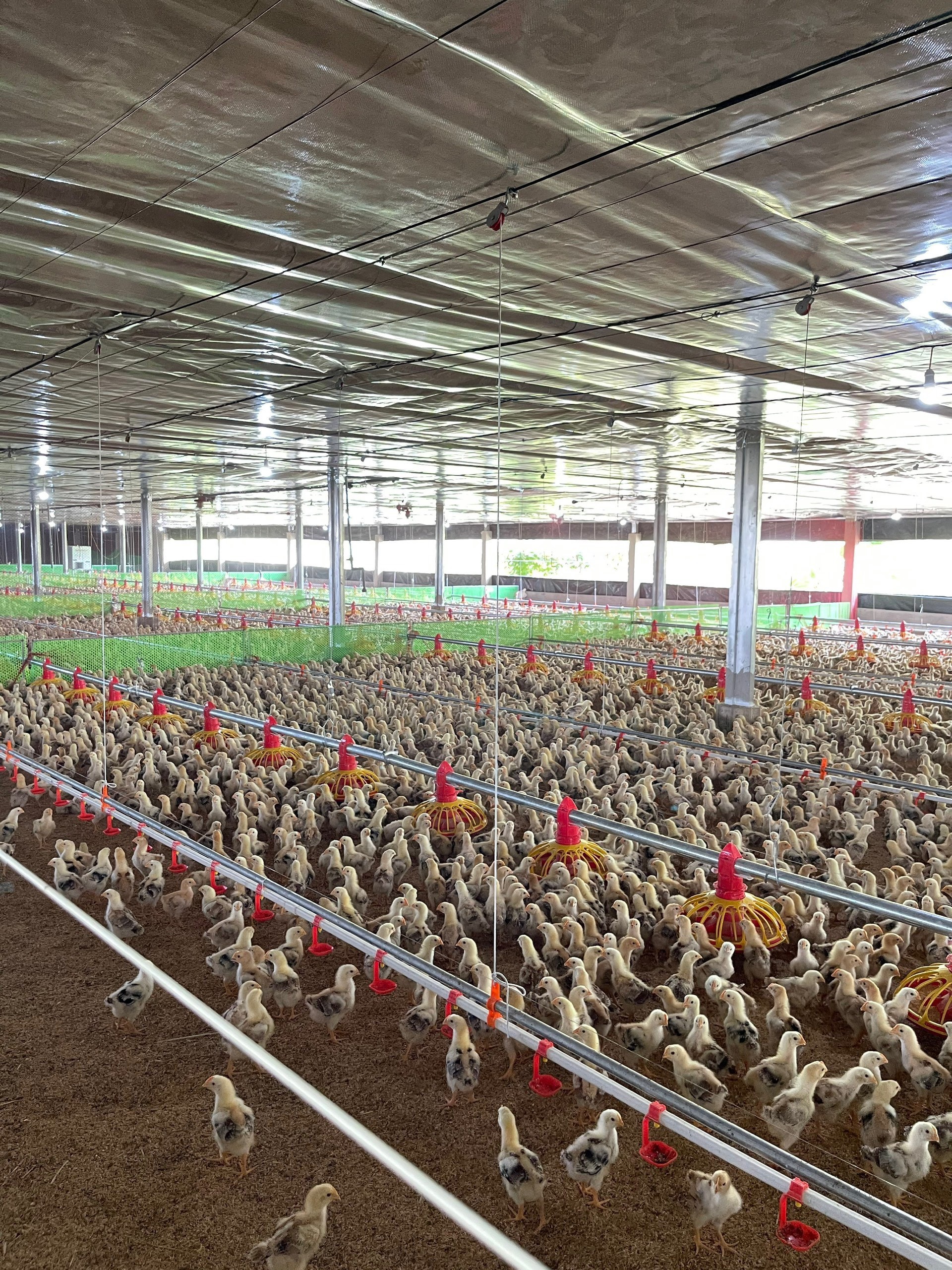 “Cuộc đua” làm chủ năng lượng tái tạo vẫn còn nhiều thách thức - Bài 1: “Kiếm tiền từ… mặt trời” ảnh 7