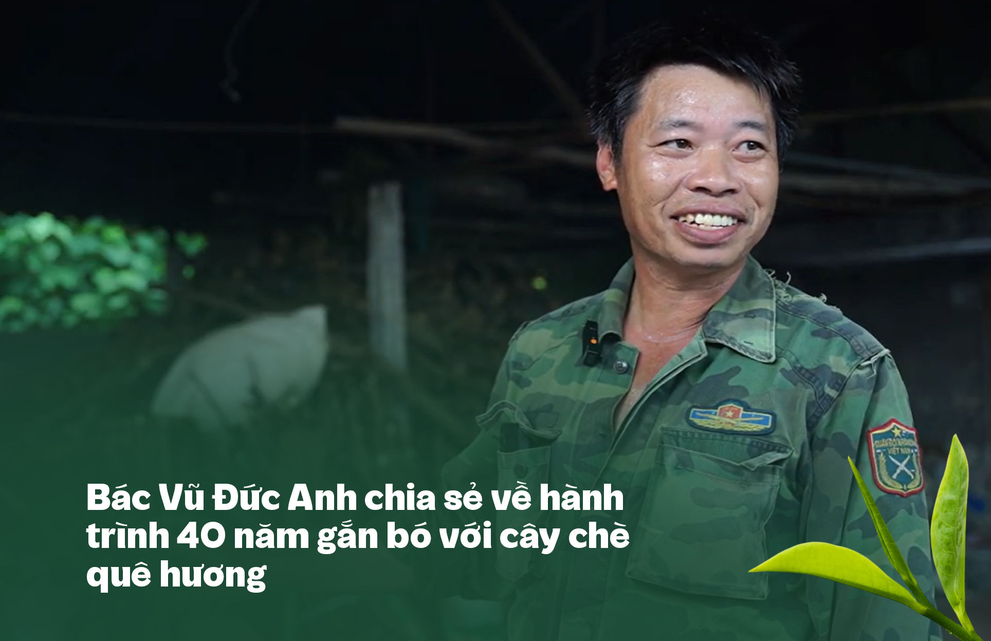 Giữ lửa, góp sương: Hành trình của lá trà truyền thống vươn ra thế giới ảnh 3
