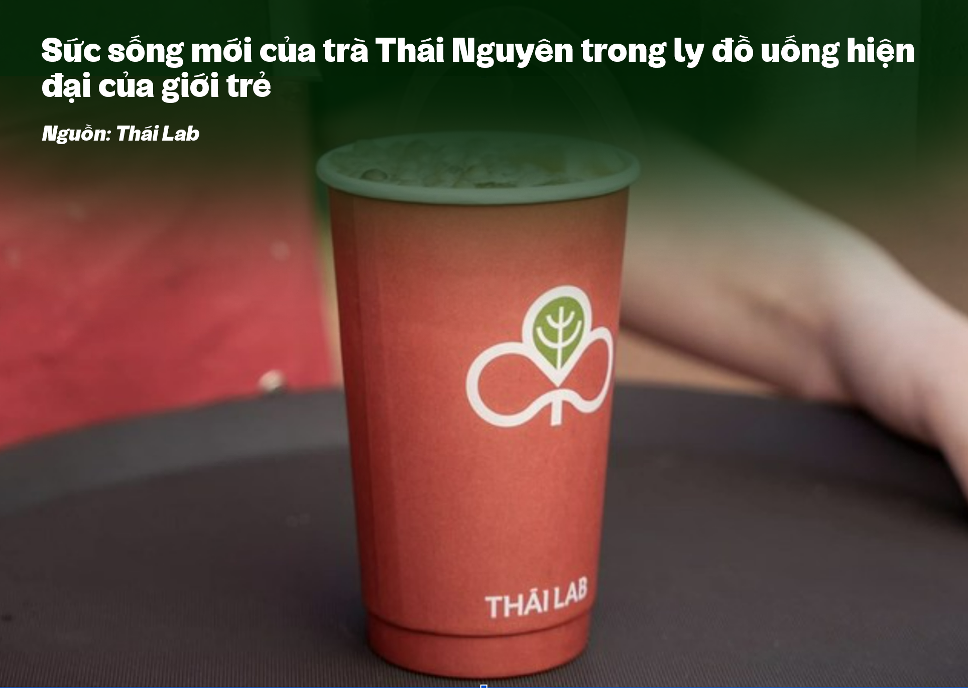 Giữ lửa, góp sương: Hành trình của lá trà truyền thống vươn ra thế giới ảnh 9