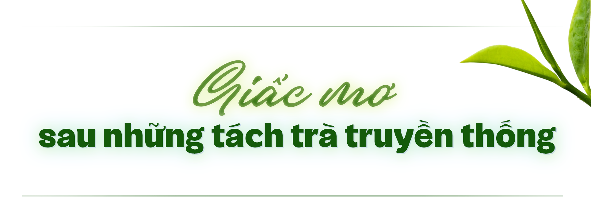 Giữ lửa, góp sương: Hành trình của lá trà truyền thống vươn ra thế giới ảnh 1