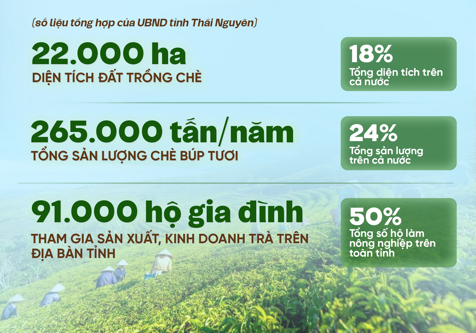 Giữ lửa, góp sương: Hành trình của lá trà truyền thống vươn ra thế giới ảnh 2