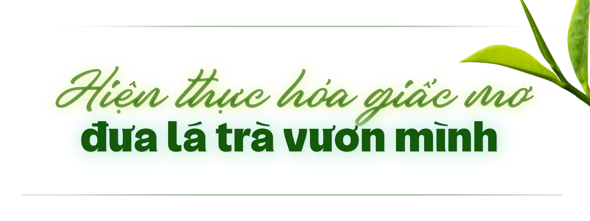 Giữ lửa, góp sương: Hành trình của lá trà truyền thống vươn ra thế giới ảnh 5